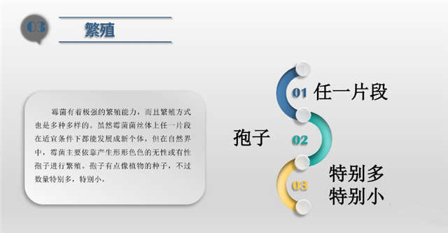 食品洁净车间,环境霉菌来源,霉菌控制措施，南京无尘净化车间