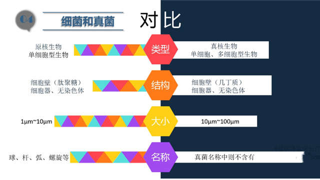 食品洁净车间,环境霉菌来源,霉菌控制措施，南京无尘净化车间